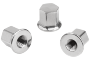 Stainless steel cap nuts with collar  for Hygienic USIT® seal and shim washers