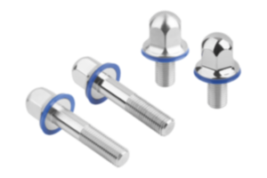 Hexagon head bolts, stainless steel with seal washer  in Hygienic DESIGN