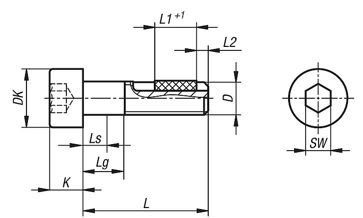 Zylinderschraube mit Innensechskant DIN EN ISO 4762 mit Gewindesicherung